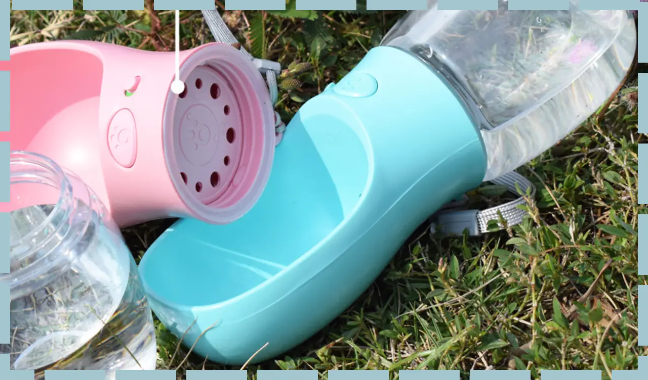 This Pet Water Bottle Has 9,000+ Amazon Reviews — I Had to Try It