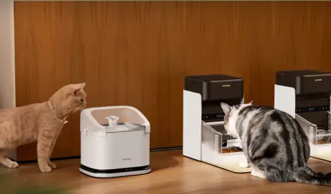 9 Best Cat Water Fountains Your Cat Might Actually Use 