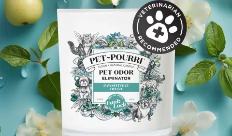 I Tested Tons of Candles and This One Actually Kills Pet Odors