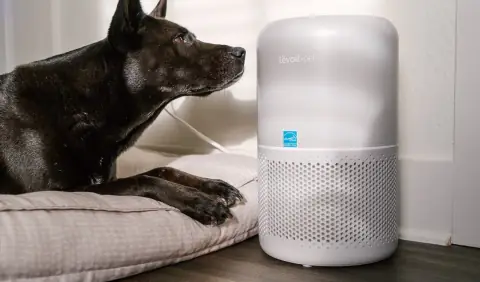 The Best Air Purifiers for Pet Homes That Actually Work